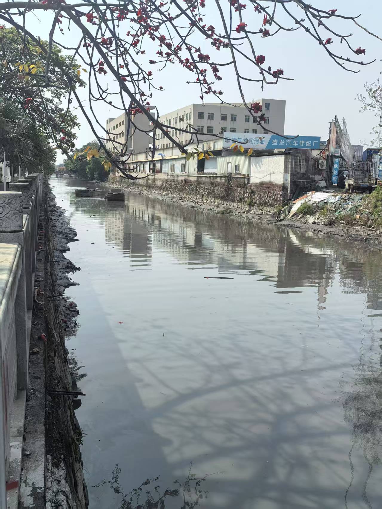 中山市2025年春季水塘河道清淤项目